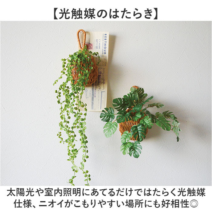 BACKYARD FAMILY「ドロップバスケット 通販 光触媒 フェイクグリーン バスケット かご インテリアグリーン」|その他|