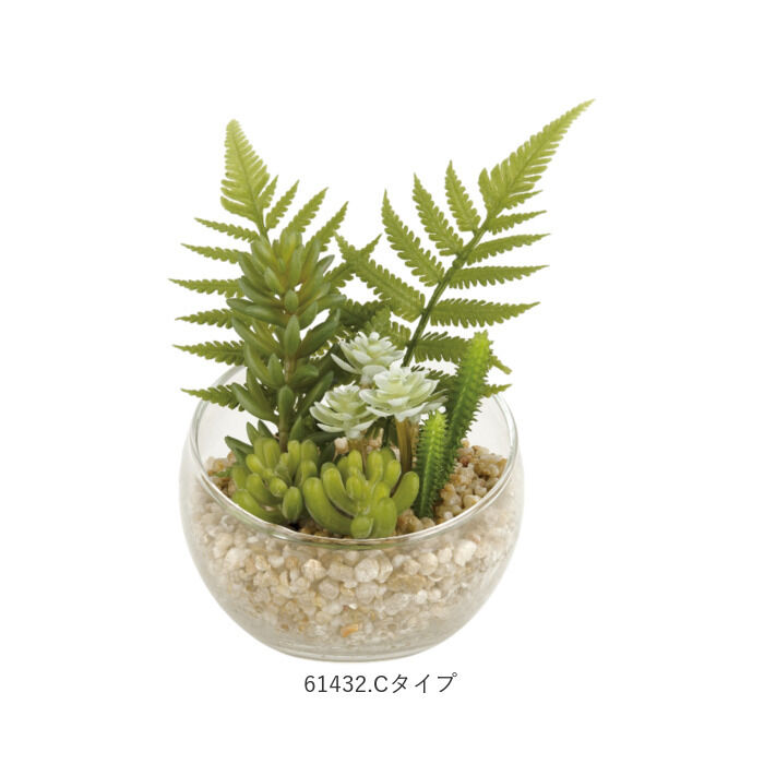 BACKYARD FAMILY「CT触媒 フェイクグリーン 通販 キシマ Lサイズ アーティフィシャルグリーン 観葉植物 フェイク」|その他|