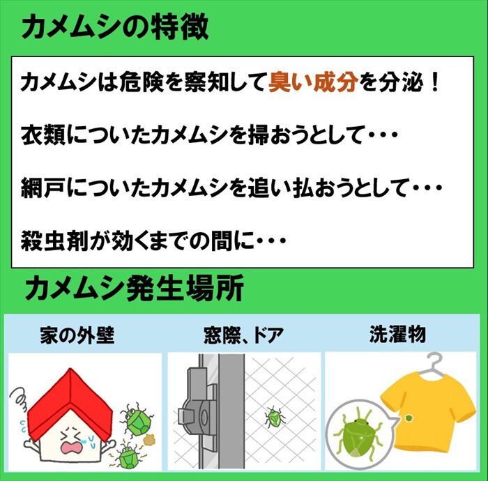 BACKYARD FAMILY「カメムシ 殺虫剤 通販 カメムシスプレー カメムシ駆除スプレー カメムシ対策 殺虫成分不使用」|その他|