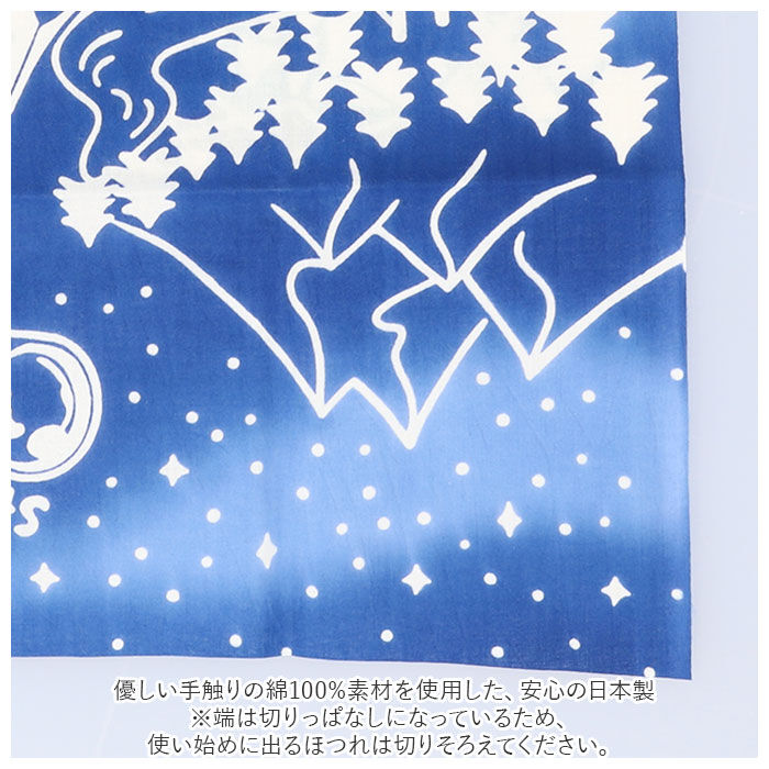BACKYARD FAMILY「kenema ケネマ 注染 手ぬぐい てぬぐい タペストリー 通販 手拭い 絵 趣味 道楽 手拭」|タオル|