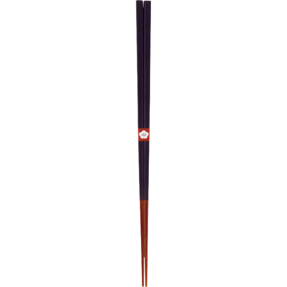 BACKYARD FAMILY「箸 おしゃれ 通販 日本製 お箸 竹 竹箸 23cm おはし 天然竹 四角 細い にっぽん伝統色箸」|食器・キッチングッズ|ブルー1