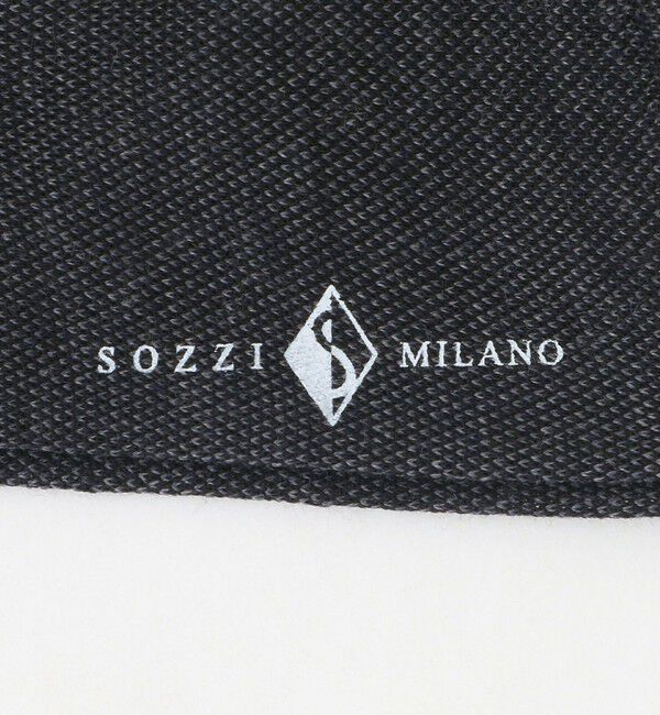 UNITED ARROWS「＜SOZZI＞ピンヘッド ホーズ ソックス」|ソックス|