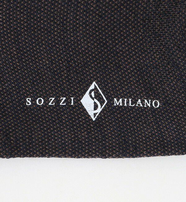 UNITED ARROWS「＜SOZZI＞ピンヘッド ホーズ ソックス」|ソックス|