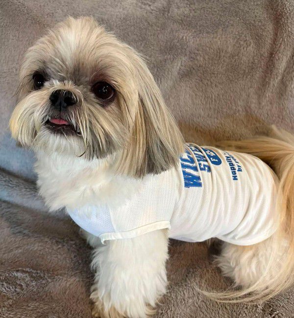 fredy emue「【FR PETS】接触冷感カレッジタンクトップ」|Tシャツ・カットソー|