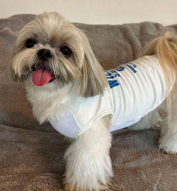 fredy emue「【FR PETS】接触冷感カレッジタンクトップ」|Tシャツ・カットソー|