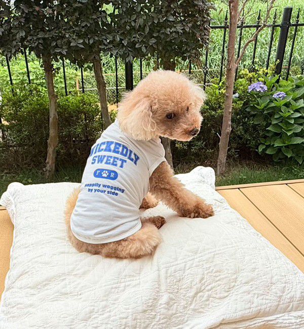 fredy emue「【FR PETS】接触冷感カレッジタンクトップ」|Tシャツ・カットソー|