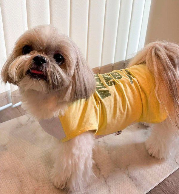 fredy emue「【FR PETS】接触冷感カレッジタンクトップ」|Tシャツ・カットソー|