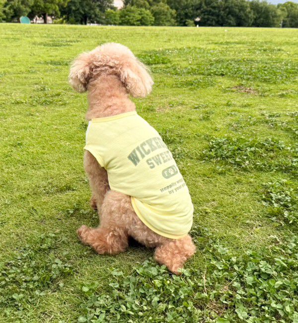 fredy emue「【FR PETS】接触冷感カレッジタンクトップ」|Tシャツ・カットソー|
