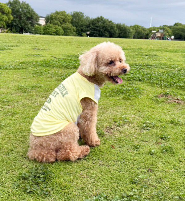 fredy emue「【FR PETS】接触冷感カレッジタンクトップ」|Tシャツ・カットソー|