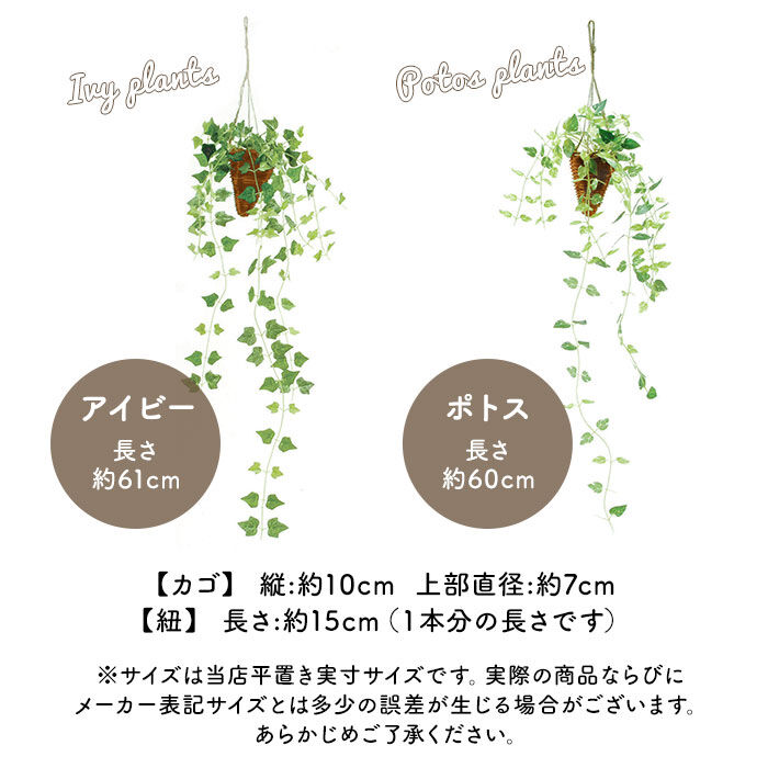 BACKYARD FAMILY「光触媒 フェイクグリーン 通販 壁掛け イミテーショングリーン おしゃれ 壁 インテリアプランツ」|その他|