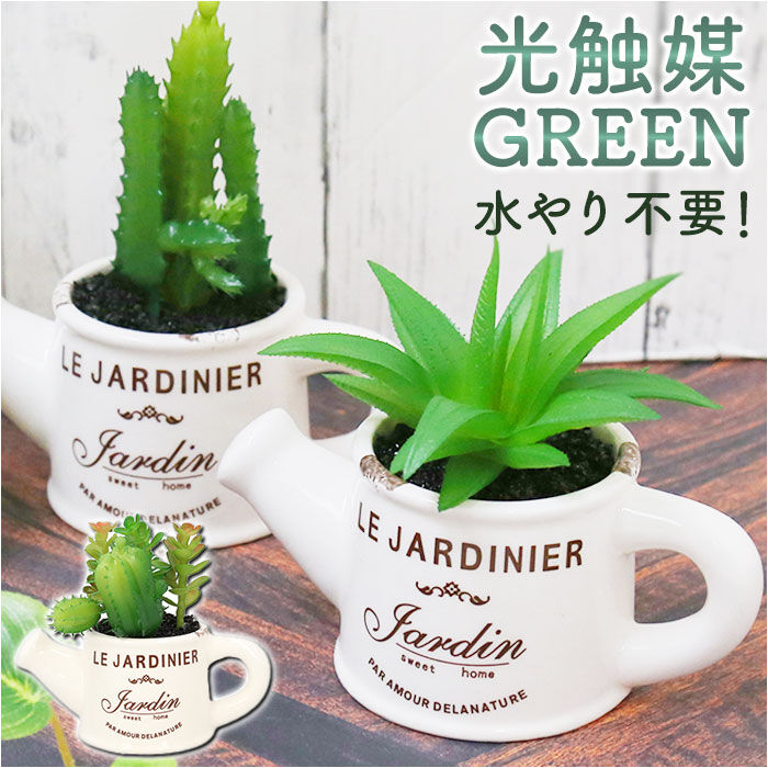BACKYARD FAMILY「光触媒 観葉植物 卓上 通販 じょうろ フェイクグリーン ミニ おしゃれ 造花 ギフト プチギフト」|その他|
