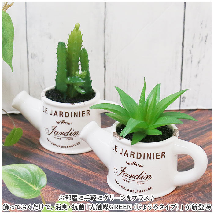 BACKYARD FAMILY「光触媒 観葉植物 卓上 通販 じょうろ フェイクグリーン ミニ おしゃれ 造花 ギフト プチギフト」|その他|