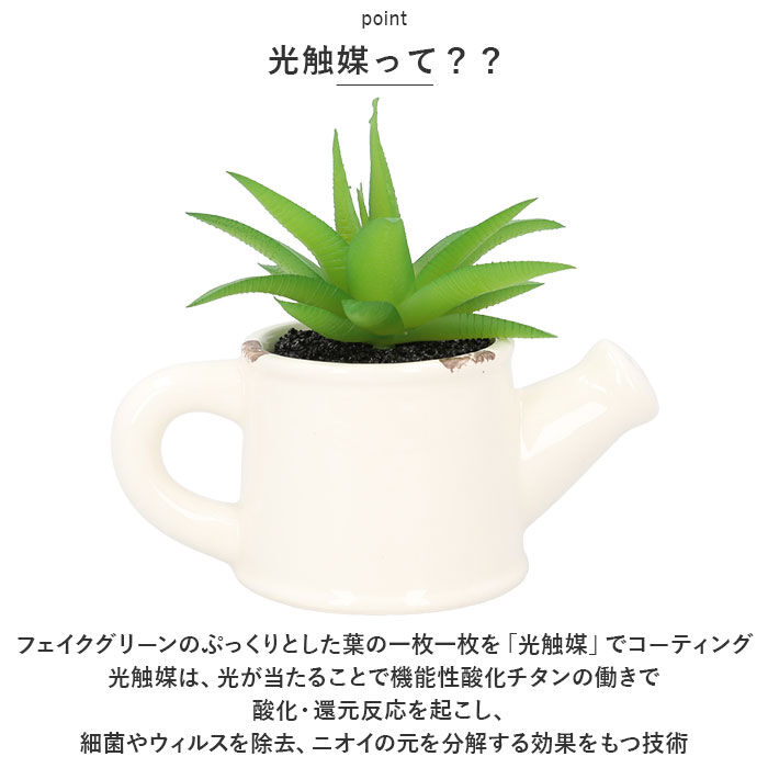 BACKYARD FAMILY「光触媒 観葉植物 卓上 通販 じょうろ フェイクグリーン ミニ おしゃれ 造花 ギフト プチギフト」|その他|