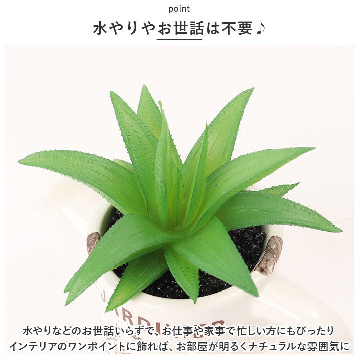BACKYARD FAMILY「光触媒 観葉植物 卓上 通販 じょうろ フェイクグリーン ミニ おしゃれ 造花 ギフト プチギフト」|その他|