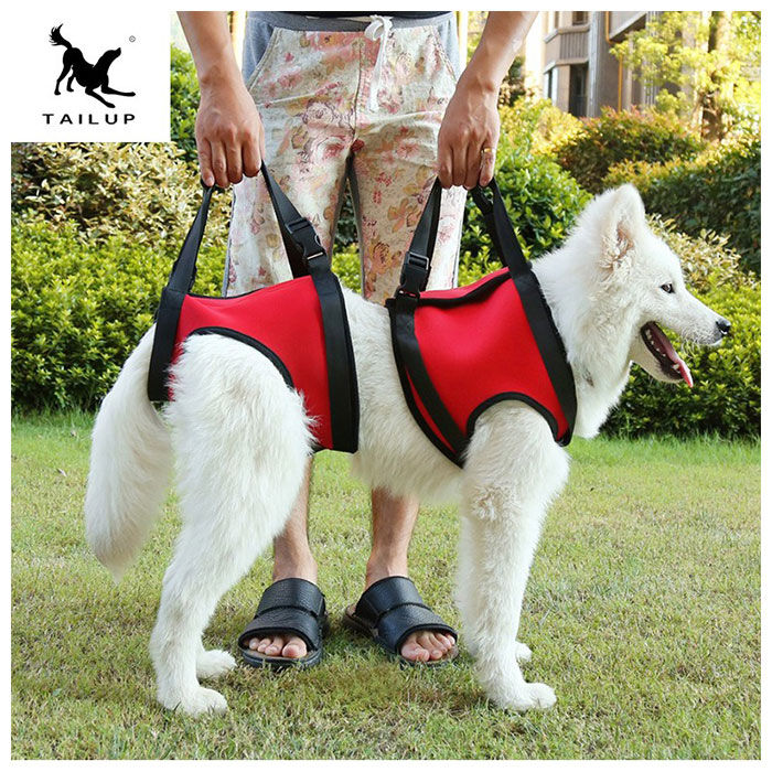 BACKYARD FAMILY「犬 介護 ハーネス 通販 老犬介護用品 歩行補助 介護ハーネス 大型犬 中型犬 小型犬 簡単装着」|その他|
