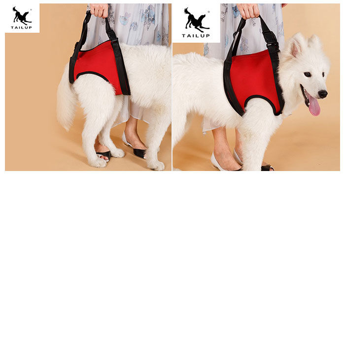 BACKYARD FAMILY「犬 介護 ハーネス 通販 老犬介護用品 歩行補助 介護ハーネス 大型犬 中型犬 小型犬 簡単装着」|その他|