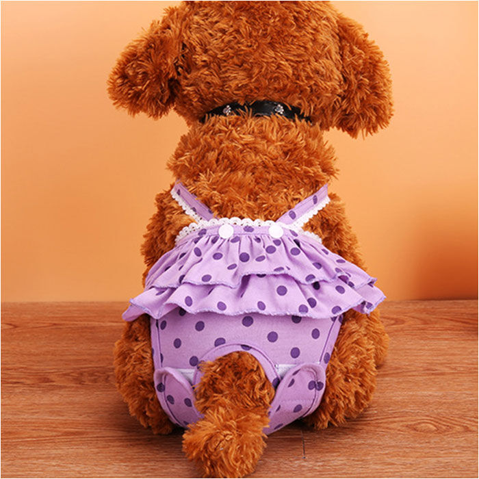 BACKYARD FAMILY「犬 マナーパンツ 通販 女の子 メス サニタリーパンツ オムツカバー おむつカバー ペット パンツ」|その他|