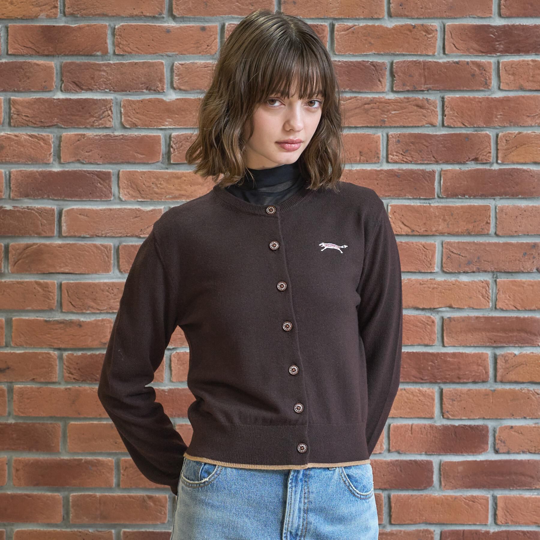 DRESSTERIOR「ゼニアバル―ファキャッシュウールクルーネックカーディガン」|カーディガン|