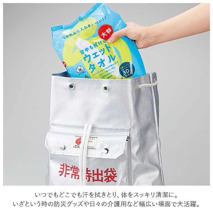 BACKYARD FAMILY「ウェットシート 大判 通販 ウェットタオル 全身 背中も拭けるウェットタオル からだふきシート」|その他|