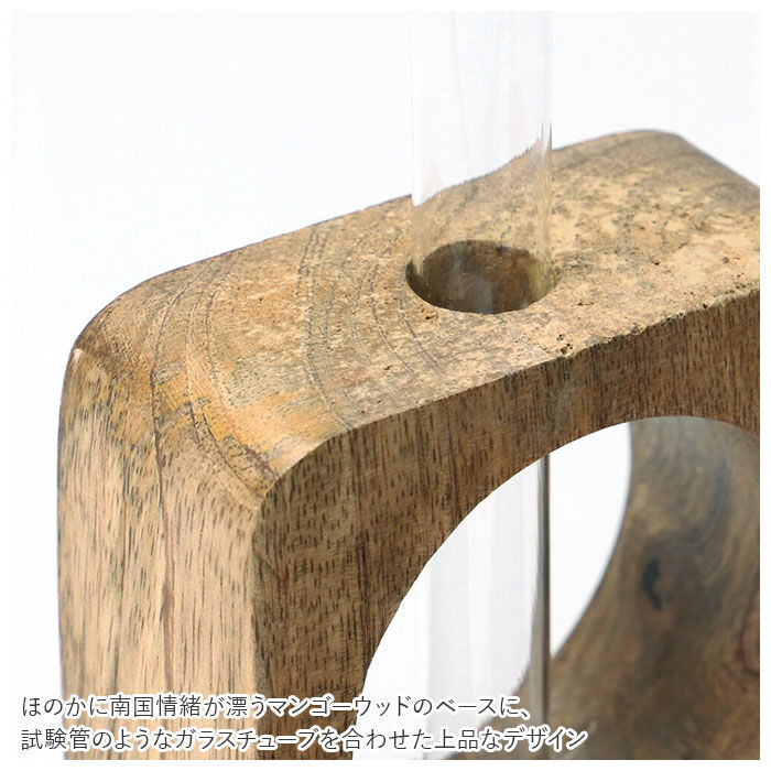 BACKYARD FAMILY「一輪挿し おしゃれ 通販 花瓶 ガラス フラワーベース 小さい シンプル かわいい モダン 花器」|その他|
