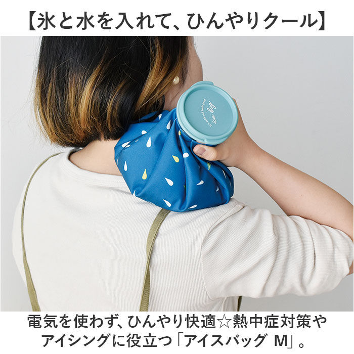 BACKYARD FAMILY「アイスバッグ 氷嚢 M 通販 アイスバック 冷却パック 氷のう アイシング 冷やす 冷感 ひんやり」|その他|