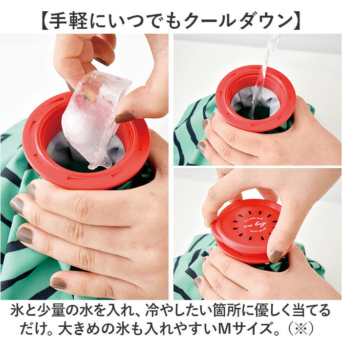 BACKYARD FAMILY「アイスバッグ 氷嚢 M 通販 アイスバック 冷却パック 氷のう アイシング 冷やす 冷感 ひんやり」|その他|