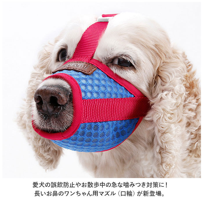BACKYARD FAMILY「犬 口輪 マズル 通販 犬の口輪 犬用口輪 マスク 口カバー カバー メッシュ 通気性 犬用 いぬ」|その他|