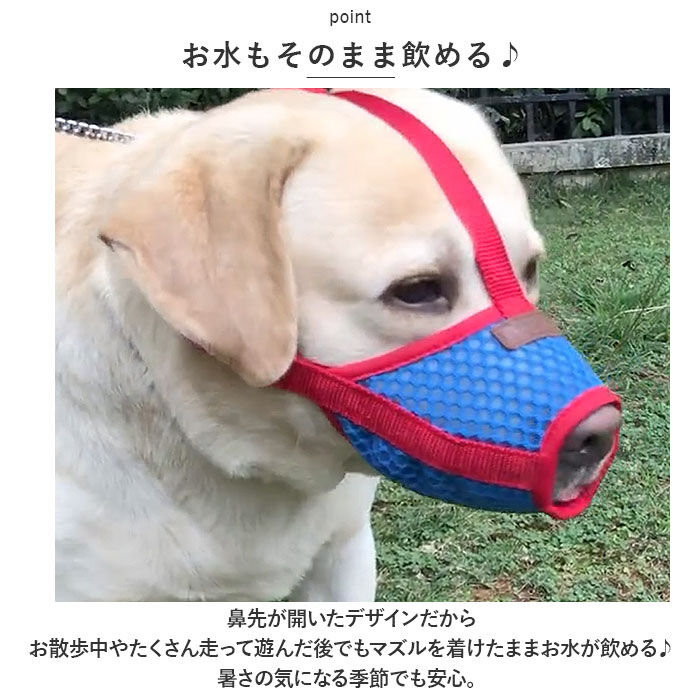BACKYARD FAMILY「犬 口輪 マズル 通販 犬の口輪 犬用口輪 マスク 口カバー カバー メッシュ 通気性 犬用 いぬ」|その他|