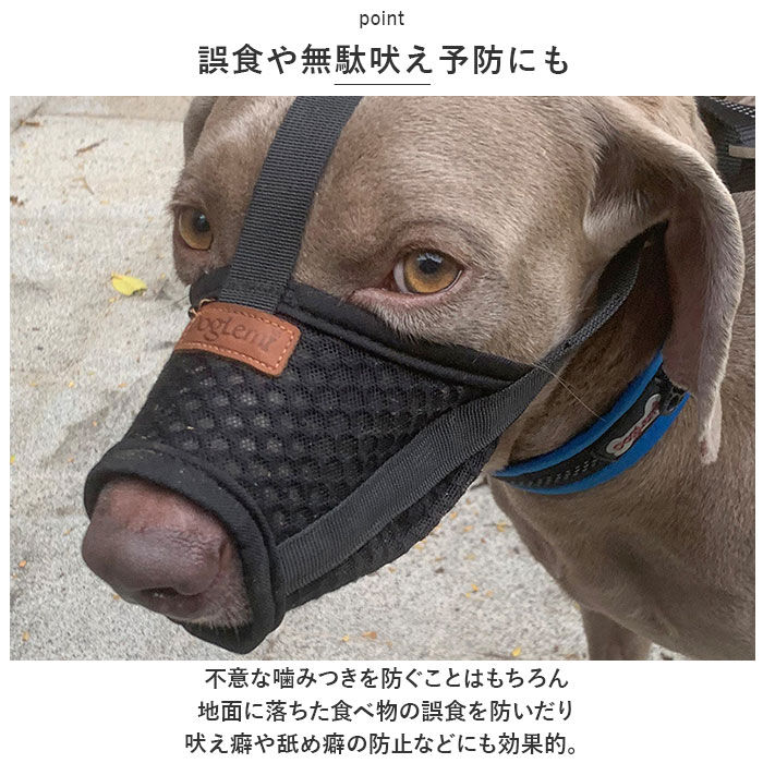 BACKYARD FAMILY「犬 口輪 マズル 通販 犬の口輪 犬用口輪 マスク 口カバー カバー メッシュ 通気性 犬用 いぬ」|その他|