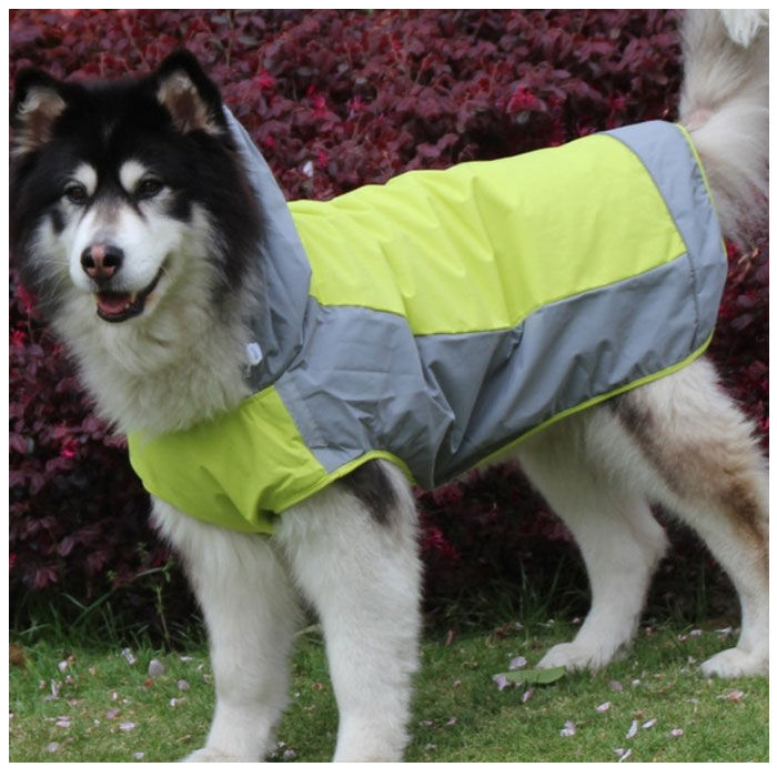 BACKYARD FAMILY「犬 レインコート 中型犬 大型犬 通販 犬用レインコート ペット服 犬服 犬用 カッパ かっぱ」|その他|