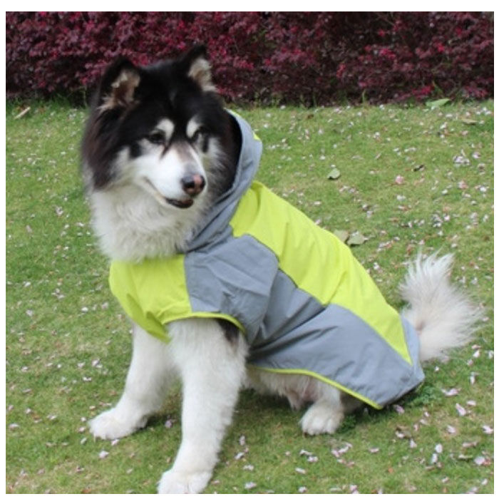 BACKYARD FAMILY「犬 レインコート 中型犬 大型犬 通販 犬用レインコート ペット服 犬服 犬用 カッパ かっぱ」|その他|