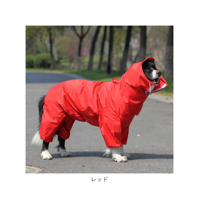 BACKYARD FAMILY「犬 レインコート 大型犬 中型犬 通販 犬用レインコート ペット服 犬服 犬用 カッパ かっぱ」|その他|