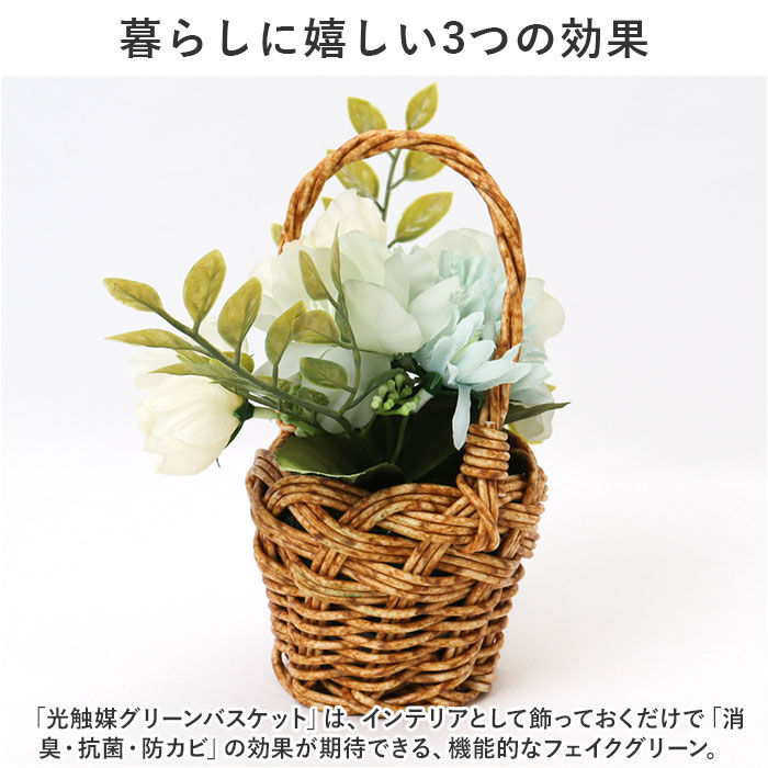 BACKYARD FAMILY「バスケット グリーンバスケット 通販 カゴ 籠 プランター 寄せ植え 小物収納 グリーン 植物」|その他|