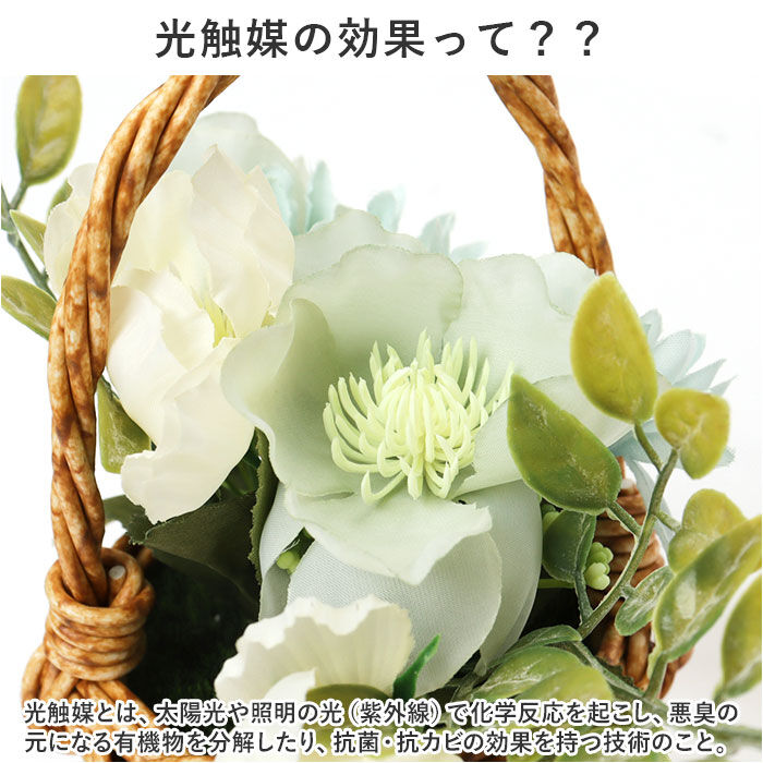 BACKYARD FAMILY「バスケット グリーンバスケット 通販 カゴ 籠 プランター 寄せ植え 小物収納 グリーン 植物」|その他|