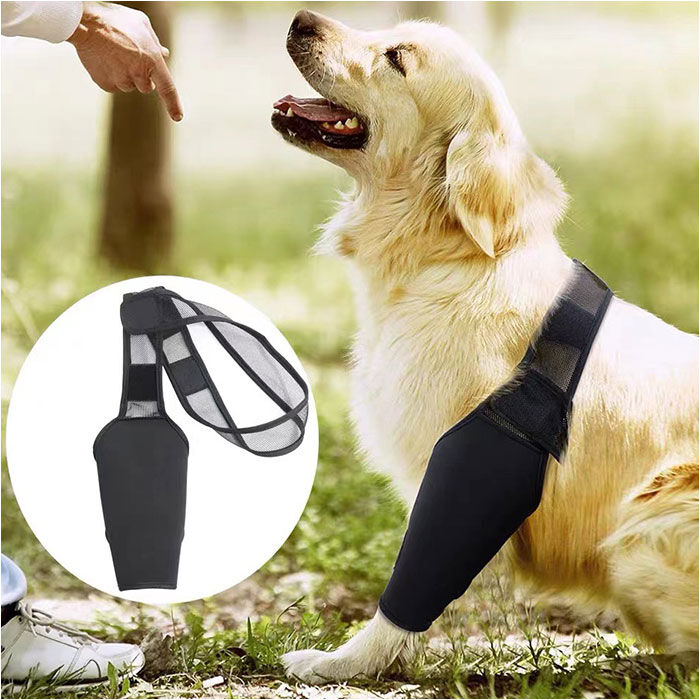 BACKYARD FAMILY「犬 サポーター 通販 前足 後ろ足 左右 兼用 小型犬 中型犬 大型犬 関節保護 肘」|その他|