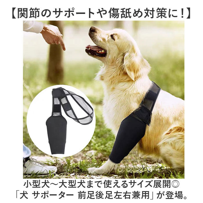 BACKYARD FAMILY「犬 サポーター 通販 前足 後ろ足 左右 兼用 小型犬 中型犬 大型犬 関節保護 肘」|その他|