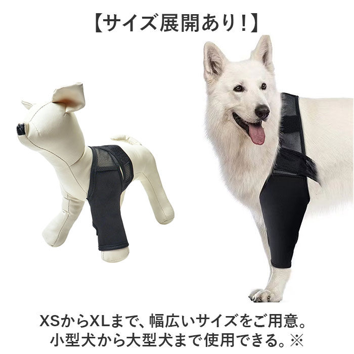BACKYARD FAMILY「犬 サポーター 通販 前足 後ろ足 左右 兼用 小型犬 中型犬 大型犬 関節保護 肘」|その他|