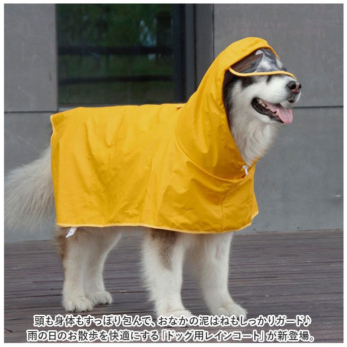 BACKYARD FAMILY「犬 レインコート 中型犬 通販 犬用レインコート ペット服 犬服 犬用 カッパ かっぱ 合羽」|その他|