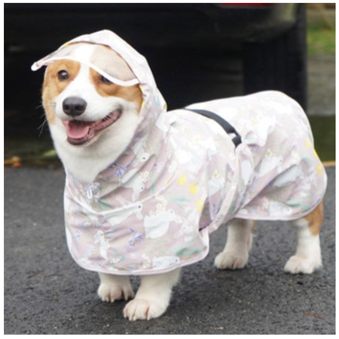 BACKYARD FAMILY「犬 レインコート 中型犬 通販 犬用レインコート ペット服 犬服 犬用 カッパ かっぱ 合羽」|その他|