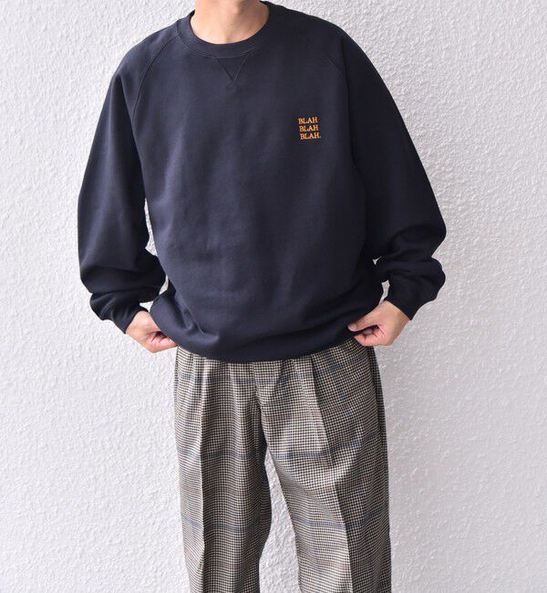 SHIPS any「【WEB限定】SHIPS any: BLAH BLAH BLAH. ワンポイント 刺繍 ラグラン ルーズ スウェット◇」|スウェット・ジャージ|
