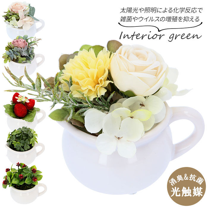 BACKYARD FAMILY「光触媒 観葉植物 通販 卓上 フェイクグリーン おしゃれ フェイク 造花 フェイクフラワー」|その他|