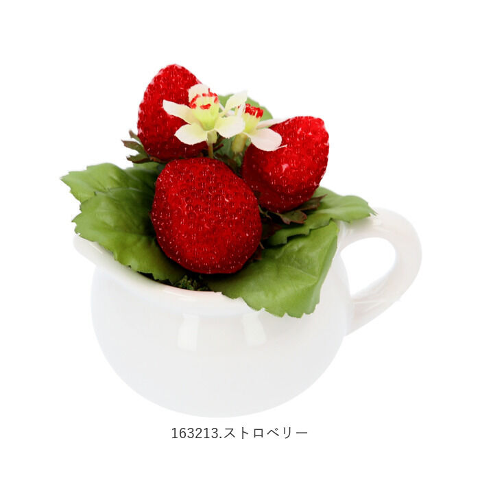 BACKYARD FAMILY「光触媒 観葉植物 通販 卓上 フェイクグリーン おしゃれ フェイク 造花 フェイクフラワー」|その他|
