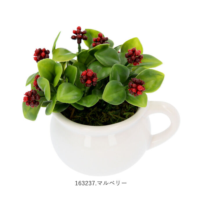 BACKYARD FAMILY「光触媒 観葉植物 通販 卓上 フェイクグリーン おしゃれ フェイク 造花 フェイクフラワー」|その他|