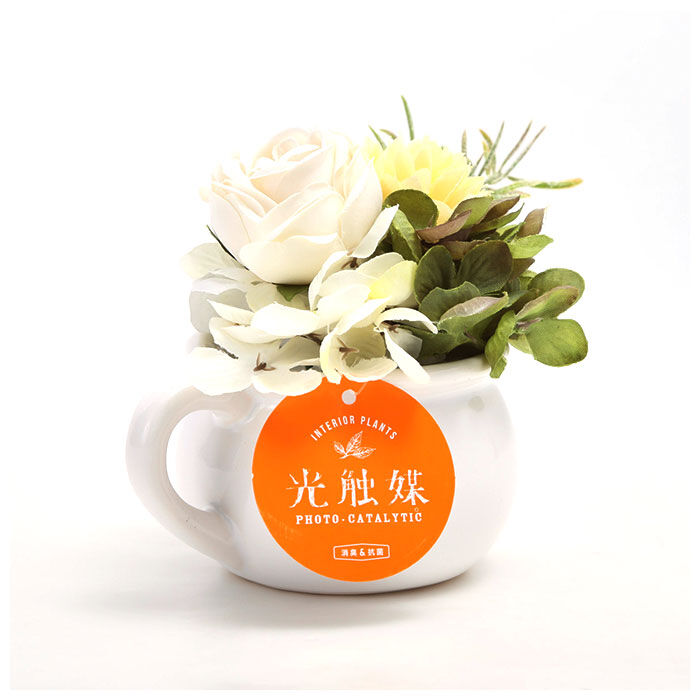BACKYARD FAMILY「光触媒 観葉植物 通販 卓上 フェイクグリーン おしゃれ フェイク 造花 フェイクフラワー」|その他|