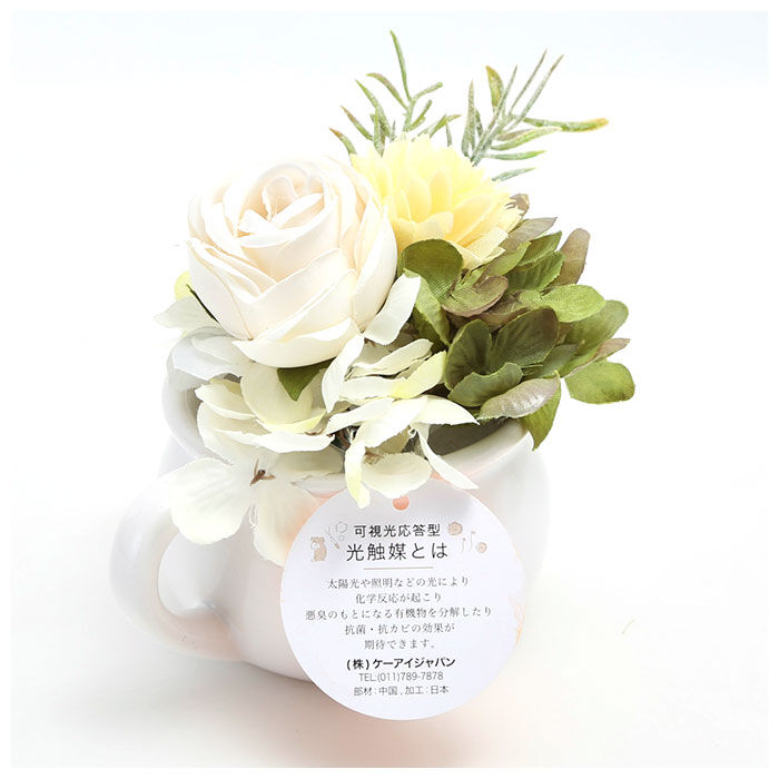BACKYARD FAMILY「光触媒 観葉植物 通販 卓上 フェイクグリーン おしゃれ フェイク 造花 フェイクフラワー」|その他|