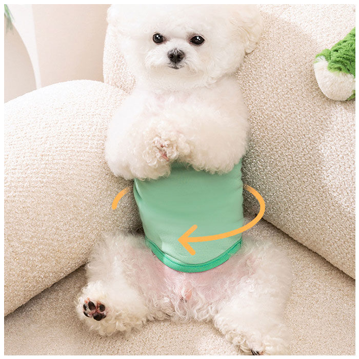 BACKYARD FAMILY「犬 マナーパンツ サニタリーパンツ 通販 イヌ いぬ マナーベルト マナーバンド 生理 おむつ」|その他|