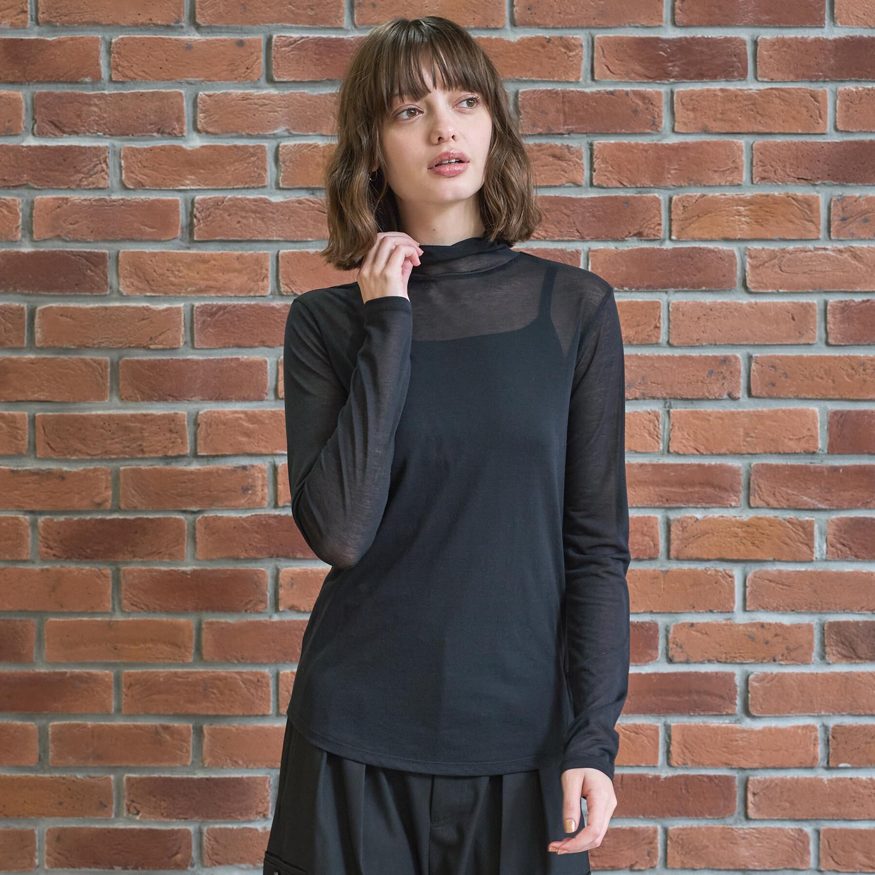 DRESSTERIOR「シアータートル」|Tシャツ・カットソー|