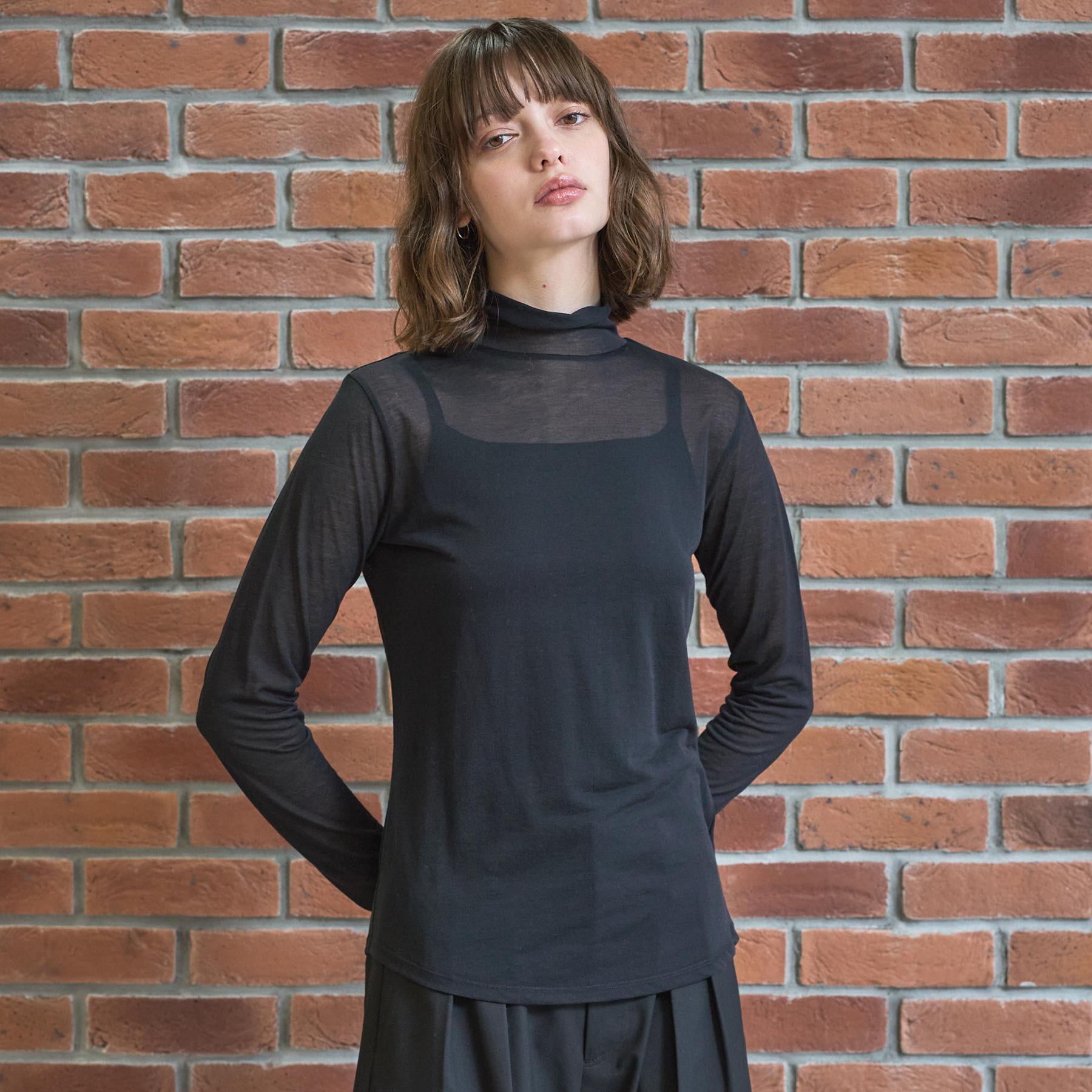 DRESSTERIOR「シアータートル」|Tシャツ・カットソー|