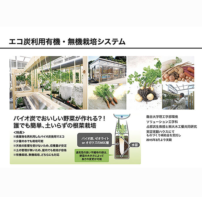 BACKYARD FAMILY「炭 消臭 1kg 大袋 通販 PFAS対策 顆粒炭 バイオ炭 肥料 抗菌 消臭剤 廃プラ炭 汚泥炭」|その他|