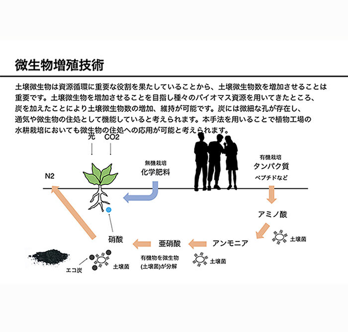 BACKYARD FAMILY「炭 消臭 1kg 大袋 通販 PFAS対策 顆粒炭 バイオ炭 肥料 抗菌 消臭剤 廃プラ炭 汚泥炭」|その他|